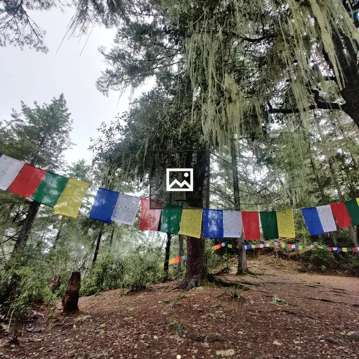 Buddhist Flags at Paro Taktsang Trail