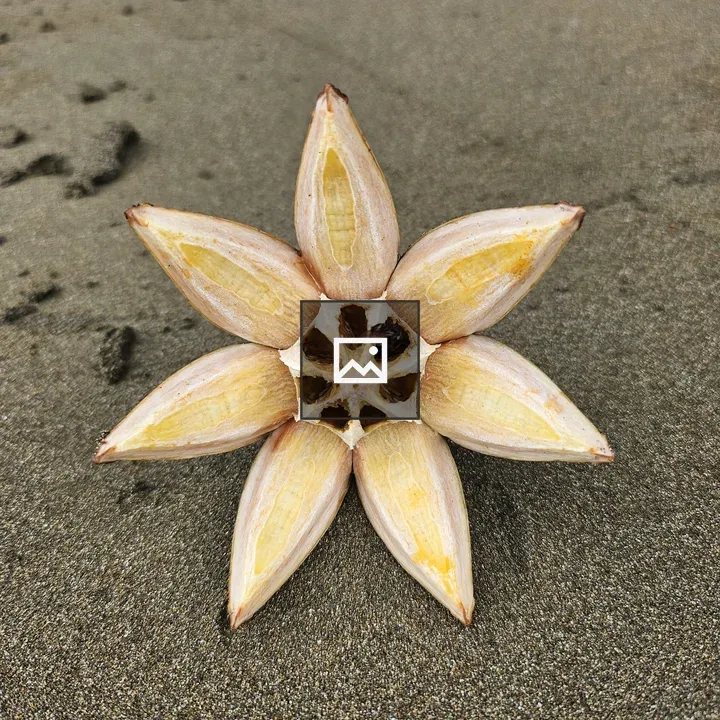 Eight-pointed star fruit on sand