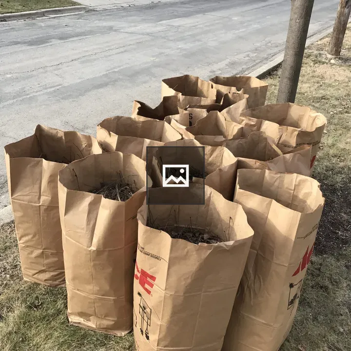 Brown Paper Yard Waste Bags