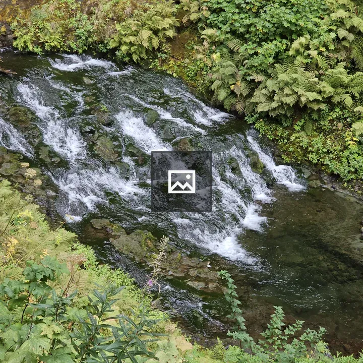 Water, Ferns, and Greenery