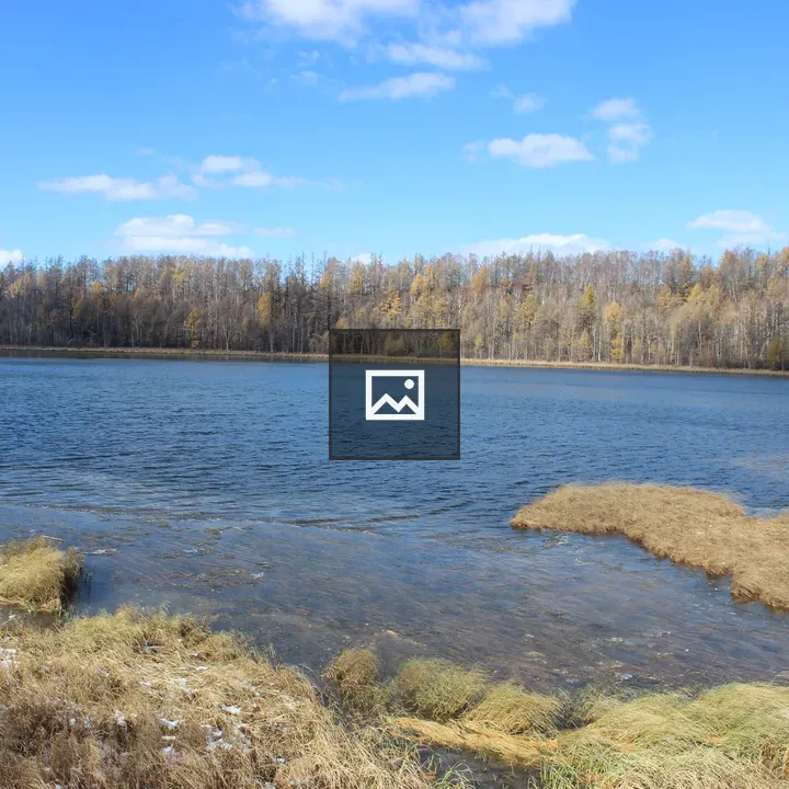 Lake with withered grass in Changchun
