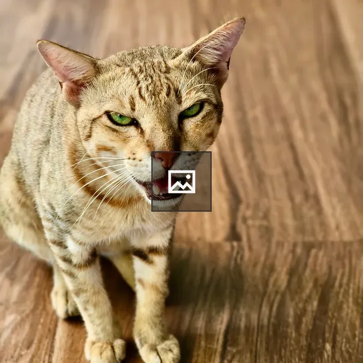 Tabby Cat Portrait with Green Eyes