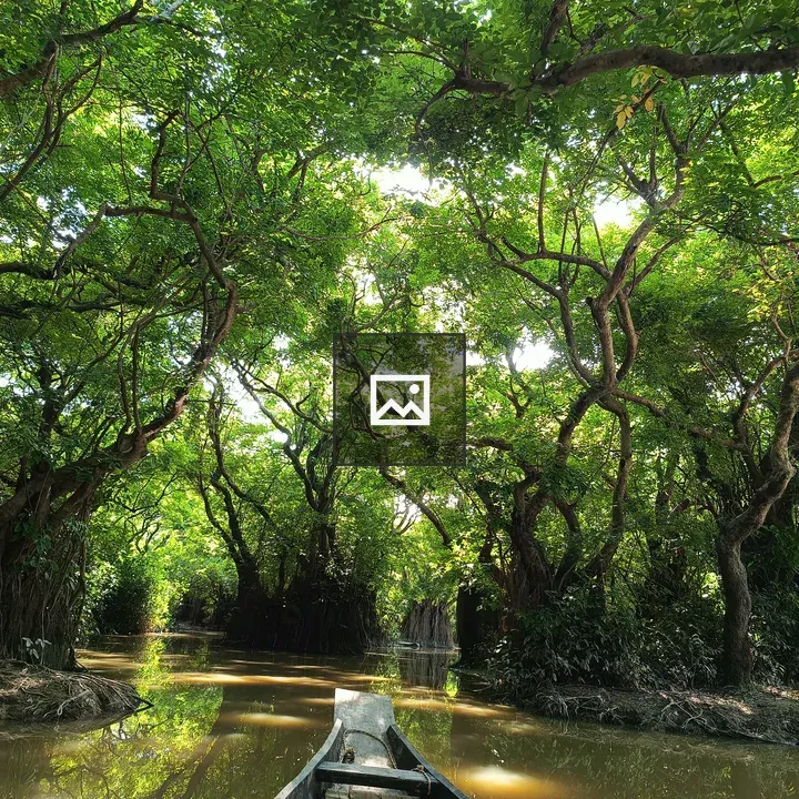 Wooden canoe on calm river