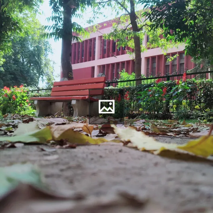 Park bench under trees