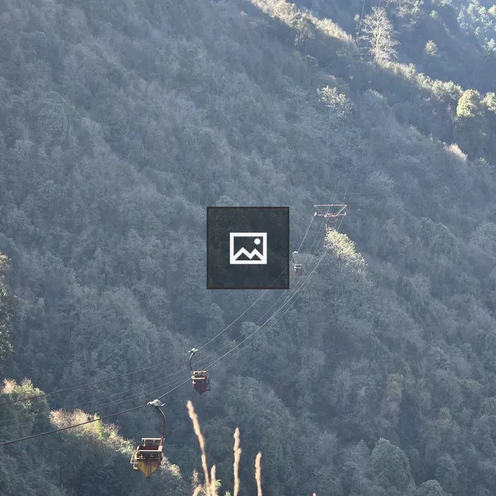 Cable Cars Over Forested Mountainside
