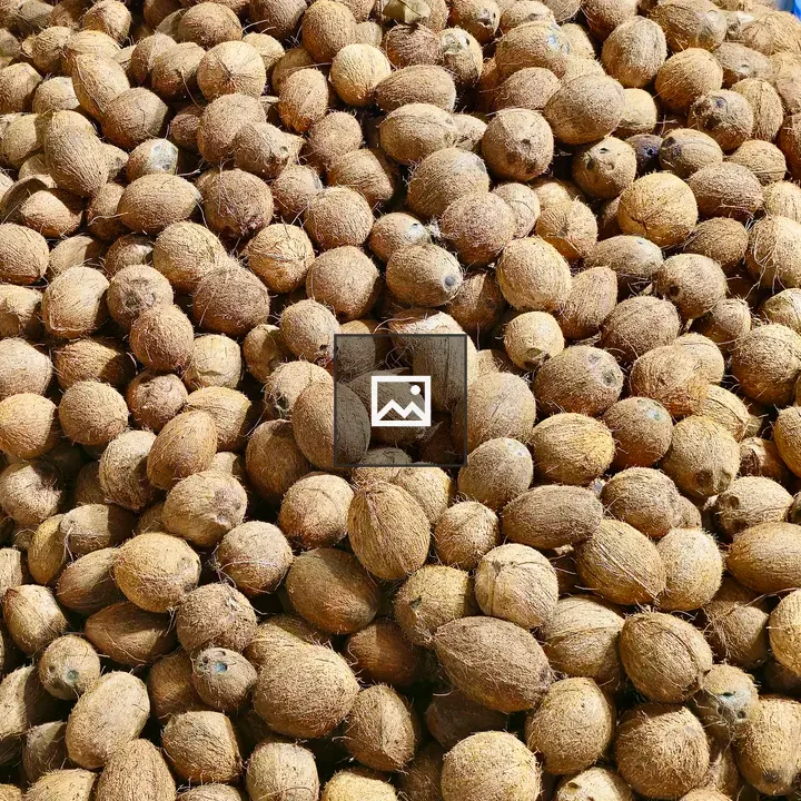 Hundreds of peeled coconuts temple scene