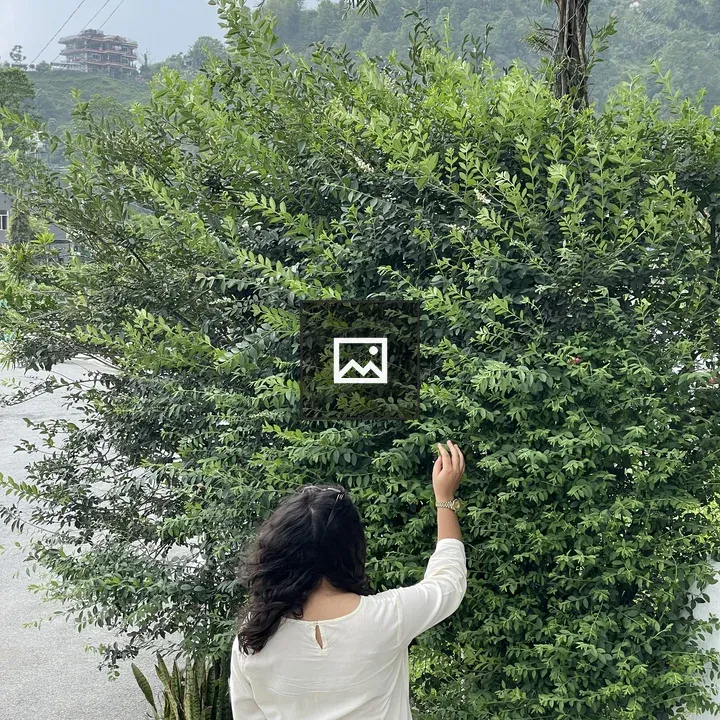 Person touching leaves