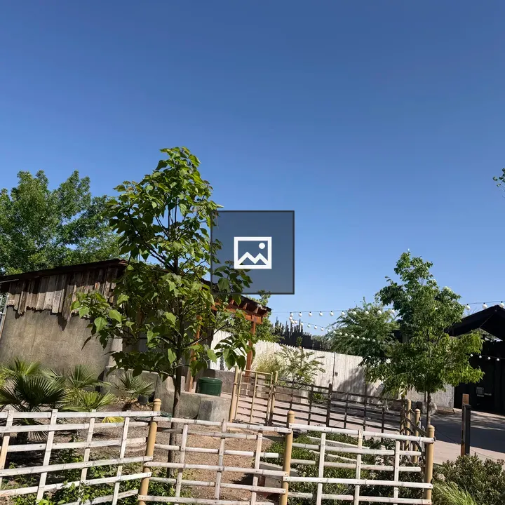Sunny rustic building and trees