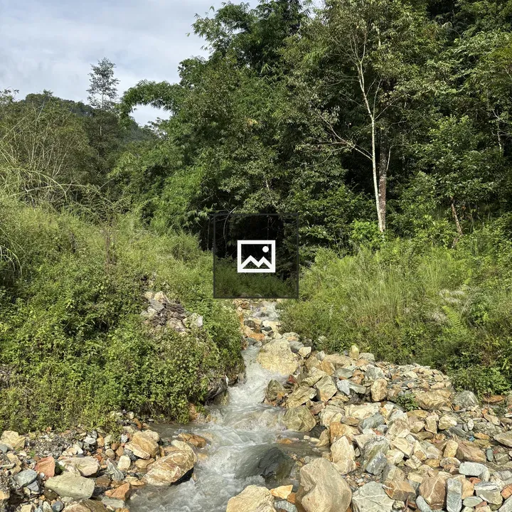 Stream Through Rocky Terrain