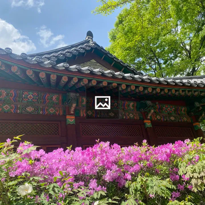 Traditional Asian Building Roof
