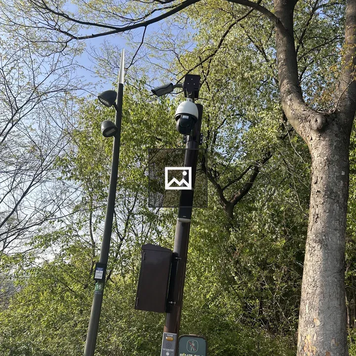 Surveillance camera on a pole