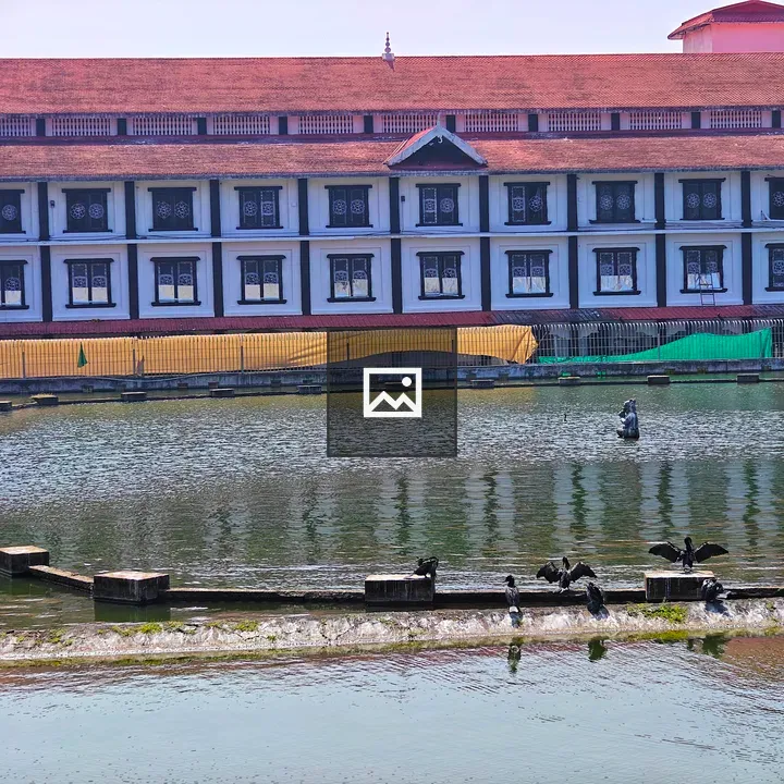 Serene pond with birds and building