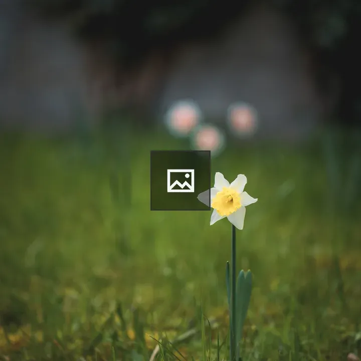 Daffodil in Grass Portrait