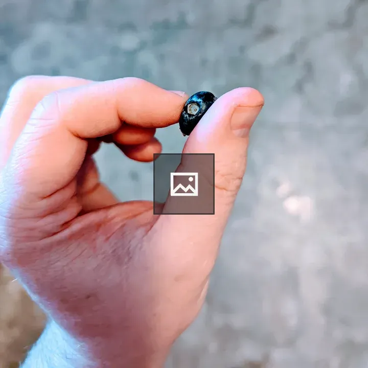 Blueberry Between Fingers