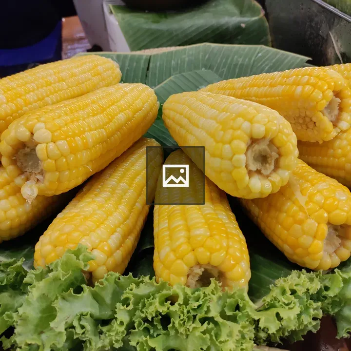 Corn in Green and Yellow