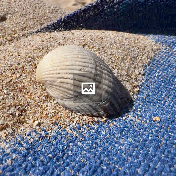 Clam Shell on Sand
