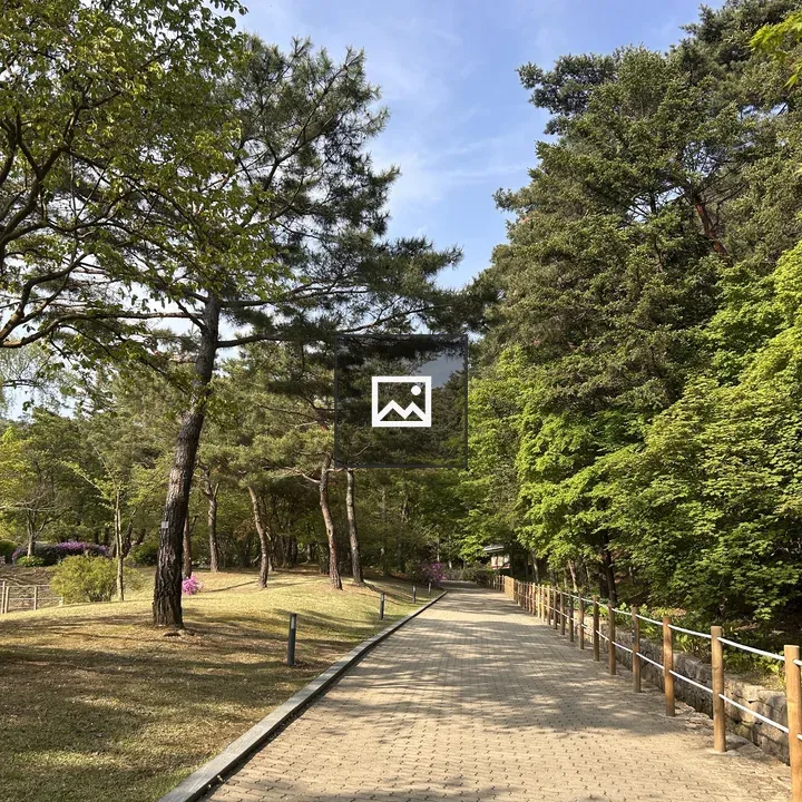 Park Pathway with Trees
