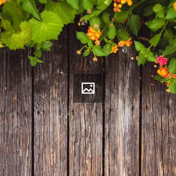 Flowers and vines at fence top