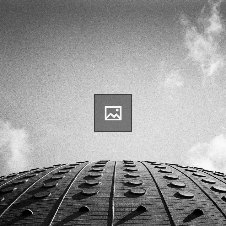 Roof of Porto Arena in Black and White