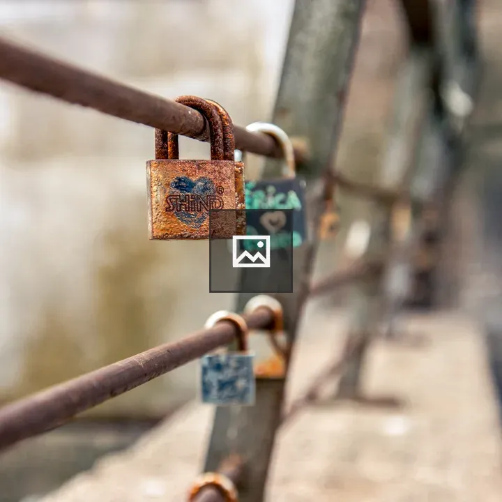 Locks on a Fence at Serra do Pilar