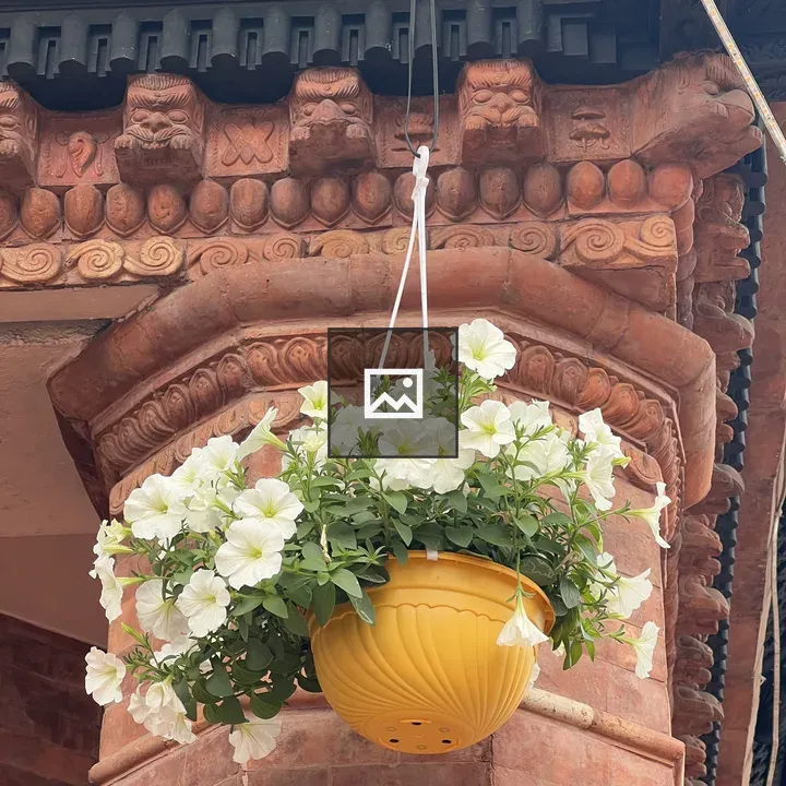 Yellow Flower Pot with Petunias