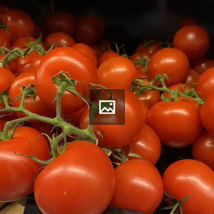 Cluster of ripe tomatoes on vine