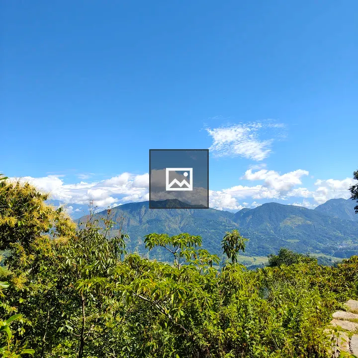 Landscape with green foliage and mountains