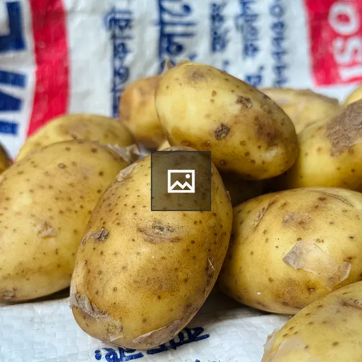 Yellow potatoes on white sack