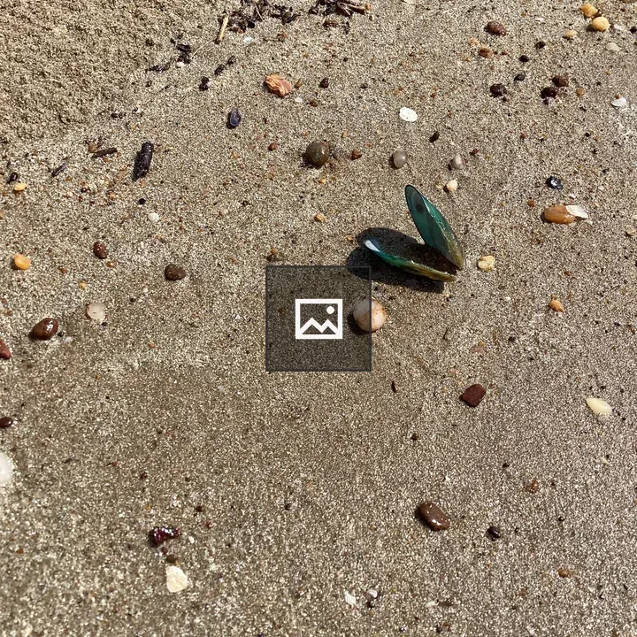 Open Green Shell on Sand