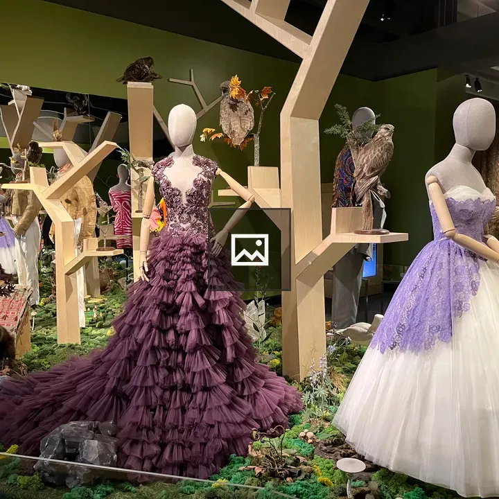 Historic dresses on mannequins