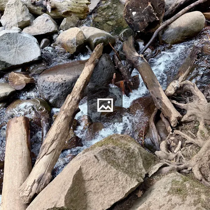 Logs and rocks in forest stream