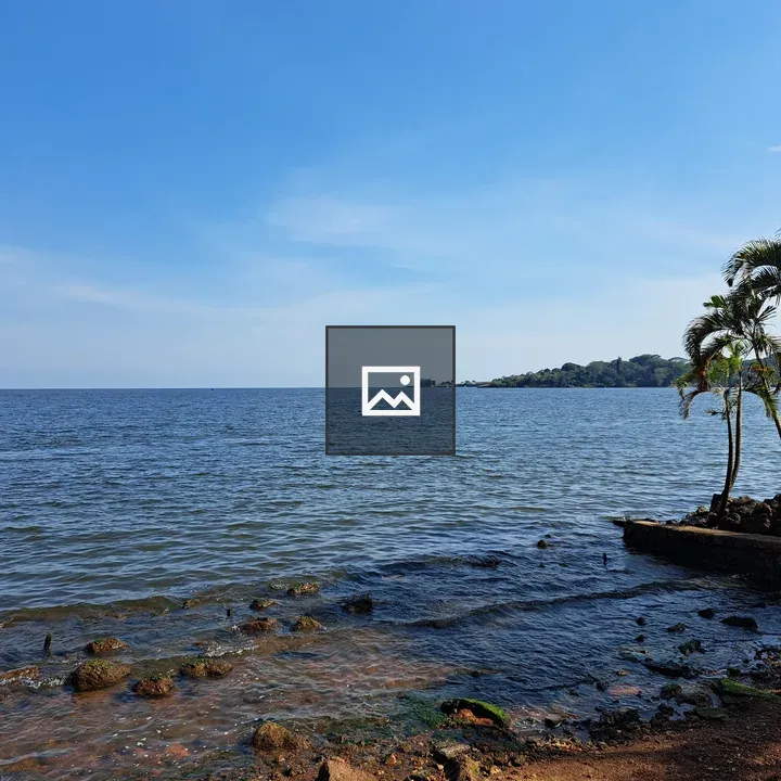 Lake Victoria shore view