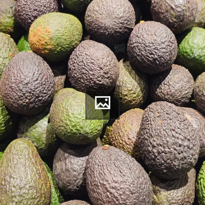 Pile of fresh avocados