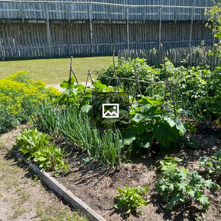 Colonial style garden