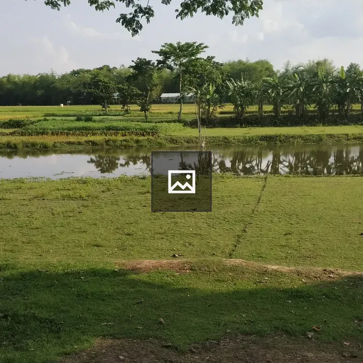 Serene green field with trees
