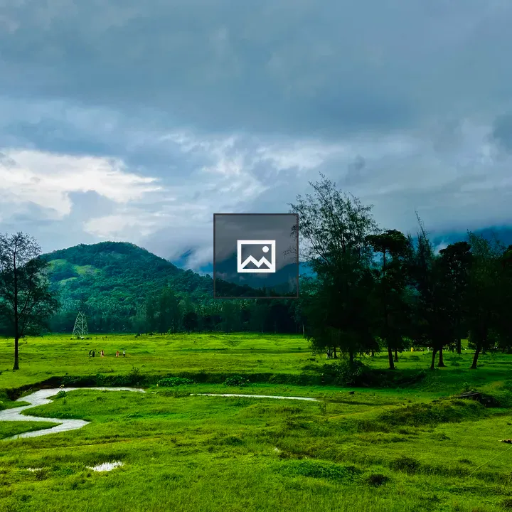 Thonikkadavu Stream in Kerala
