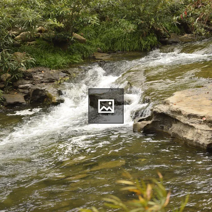 Mountain Spring Scene