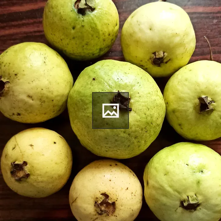 Guava Fruit