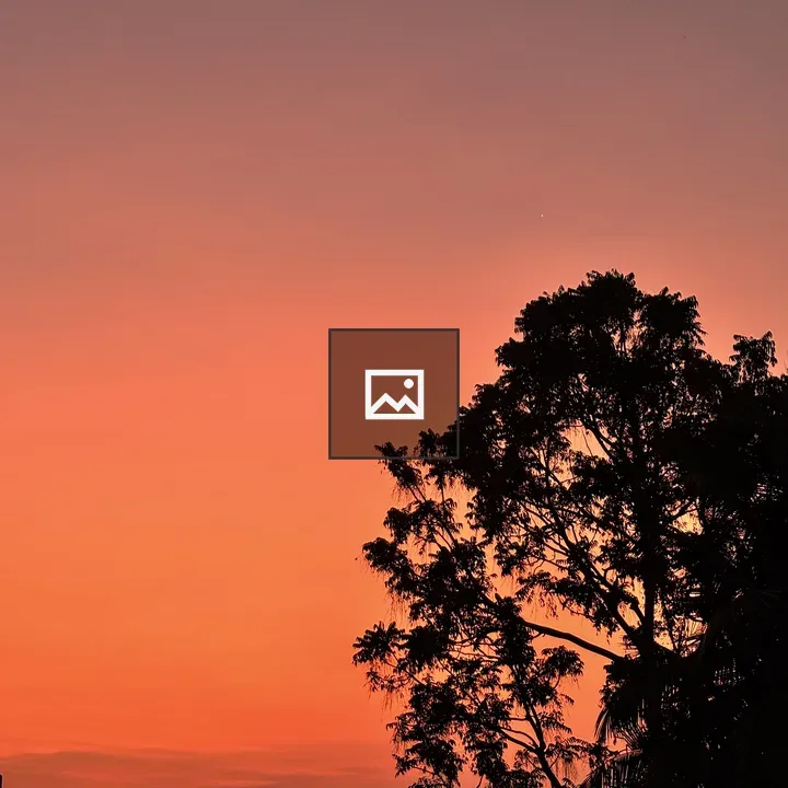 Tree silhouette at sunset