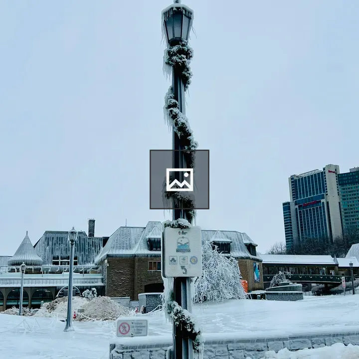 Ice-Covered Lamp Post
