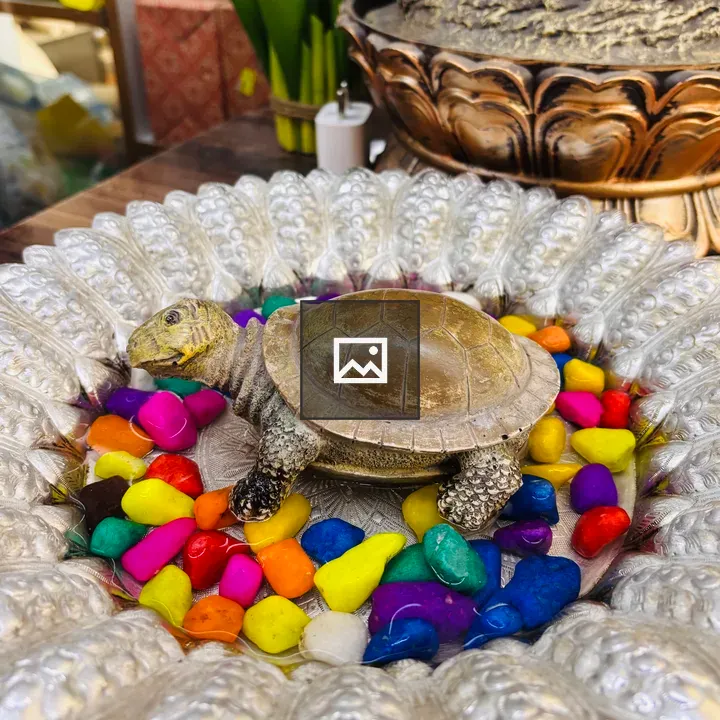 Tortoise on Decorative Tray