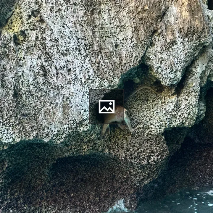 Monkey in rocky cliff cave