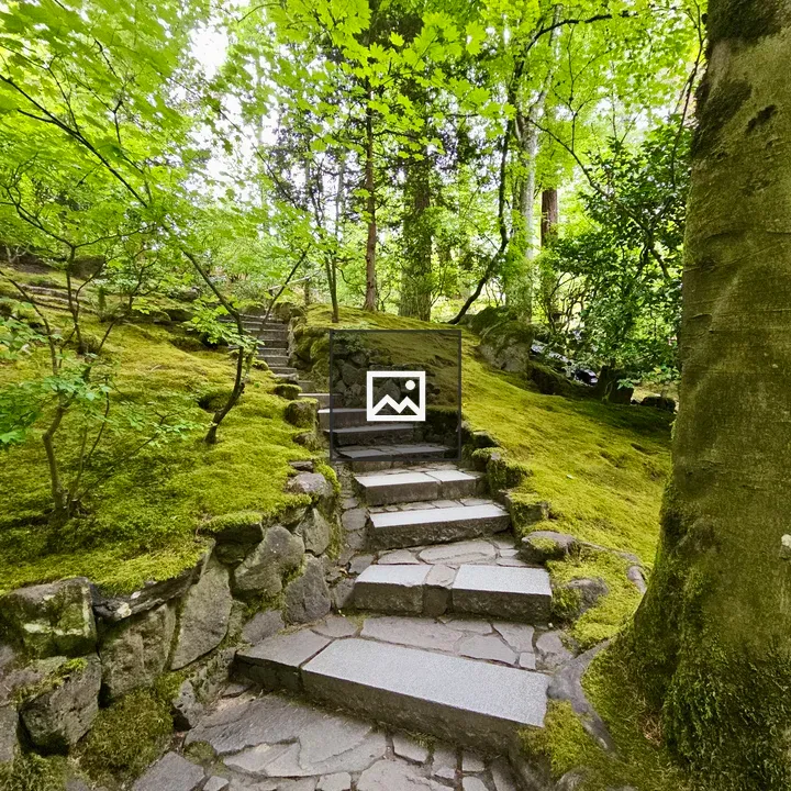 Stone steps in mossy garden