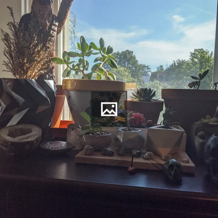 Plants on a Table by Window