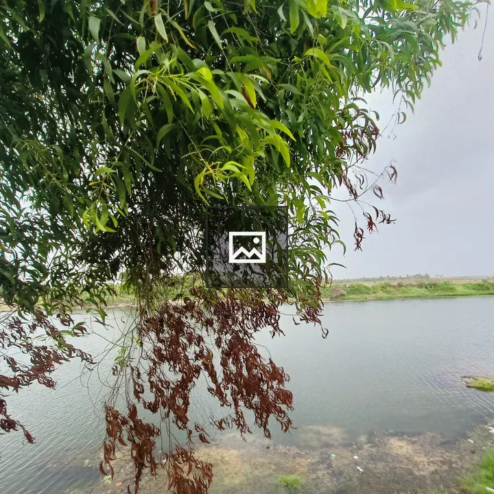 Riverbank View with Clouds
