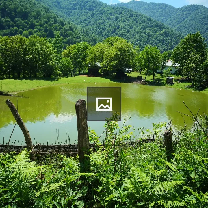 Lake in forest near rural house