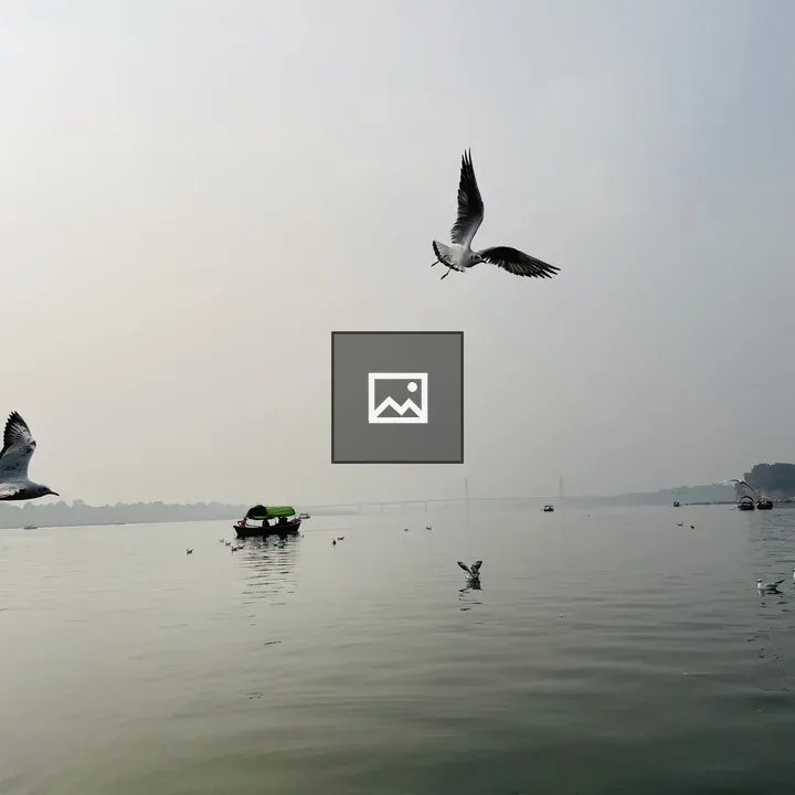 Birds over calm water with boat