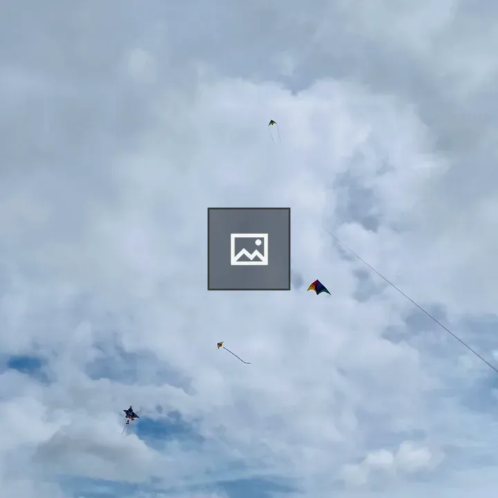 Kite Flying at Cherry Blossom Festival