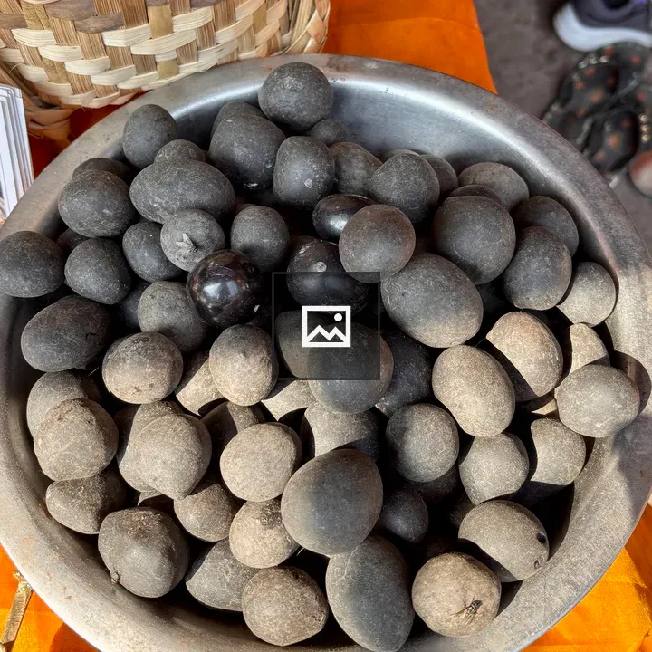 Shaligram stones in a metal bowl
