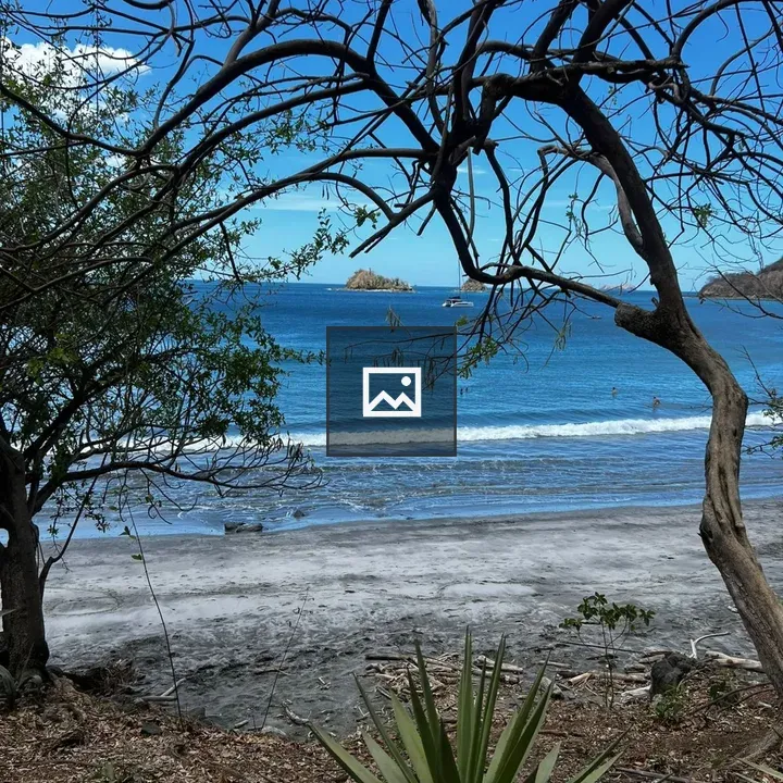 Beach View with Trees and Island